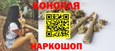 Альфа ПВП Славянск-на-Кубани