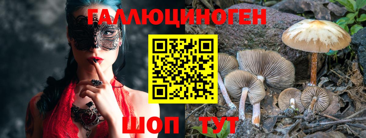 Псилоцибиновые грибы GOLDEN TEACHER Нерюнгри