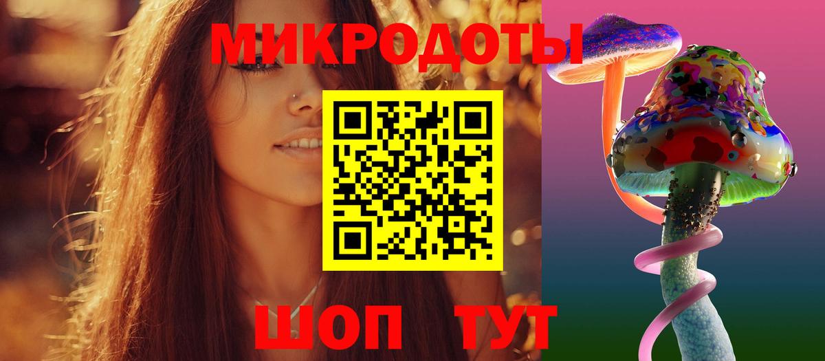 что такое   Вход с VPN  Нерюнгри  Псилоцибиновые грибы Psilocybe 